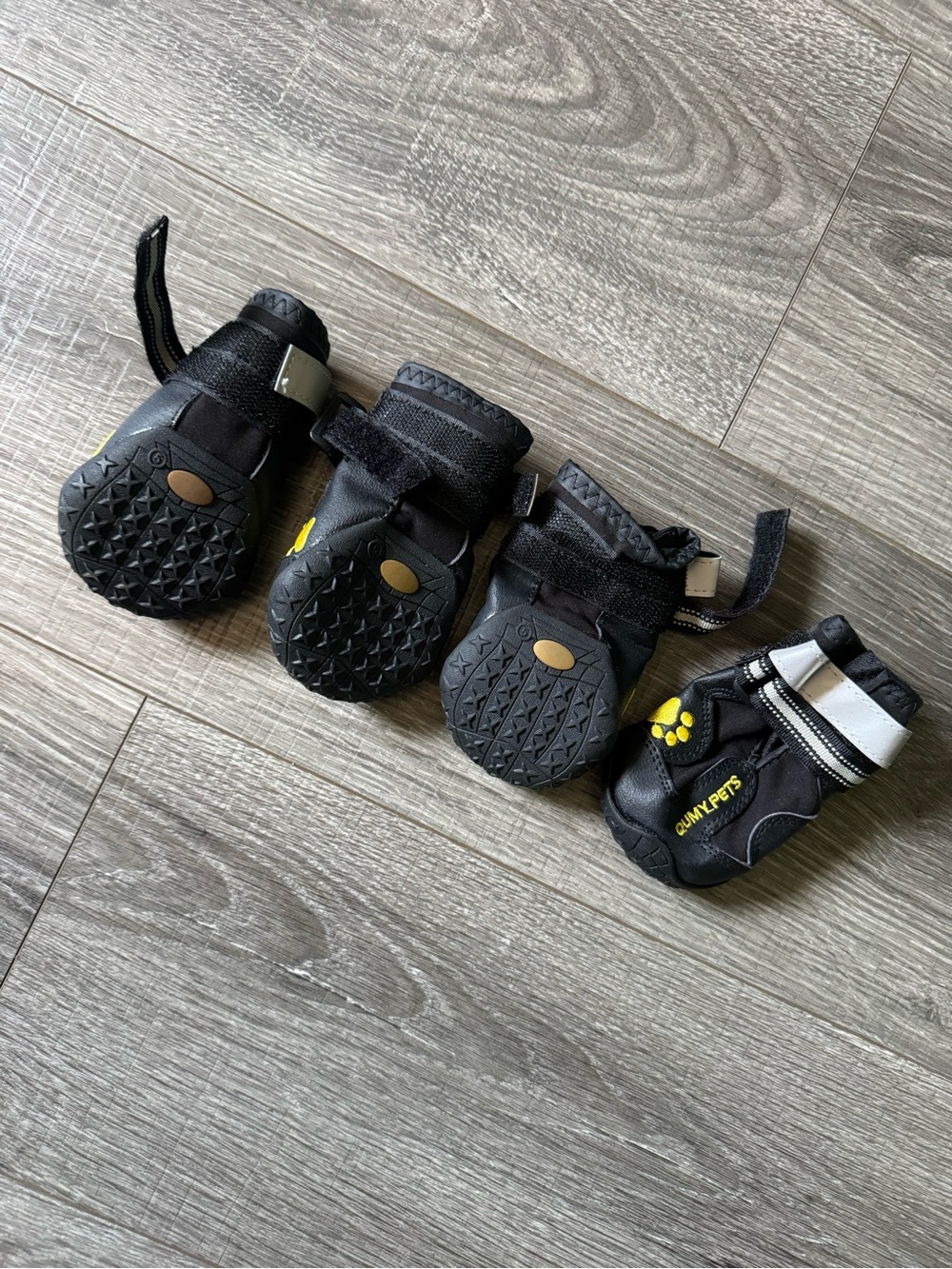 Black Pet Boots - Set